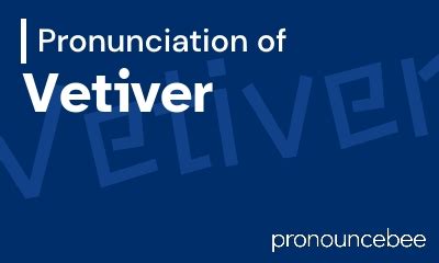 vetiver pronunciation|vetiver in english.